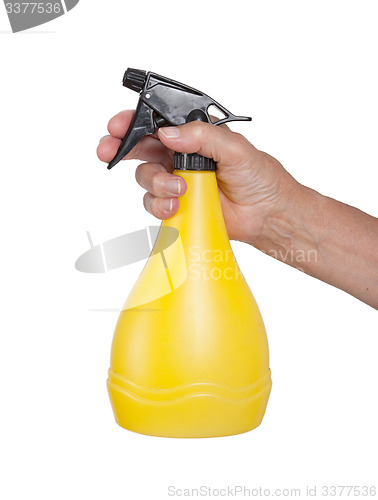 Image of Sprayer in the hand of an old woman