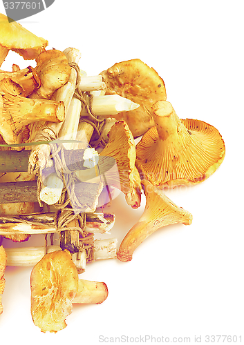 Image of Raw Chanterelles