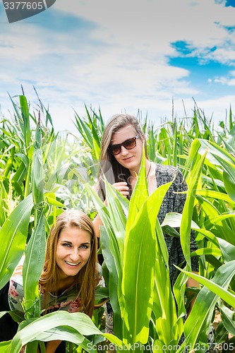Image of Two young girls hiding in a green cornfield