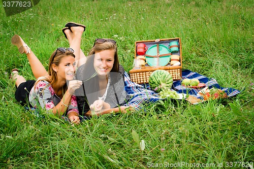 Image of Best friends having a picnic