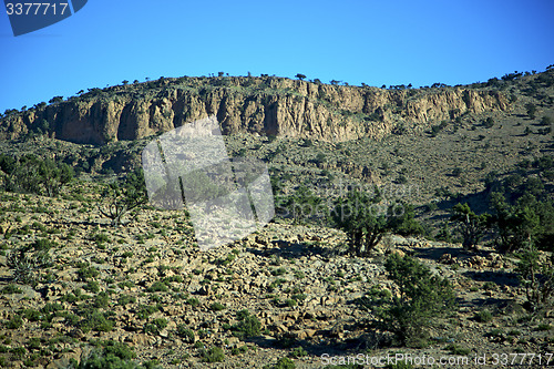 Image of valley in   africa morocco the atlas dry mountain  