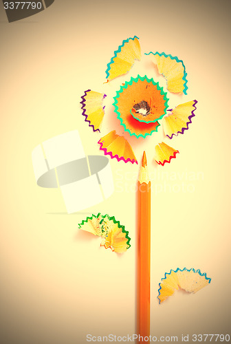 Image of one pencil flower