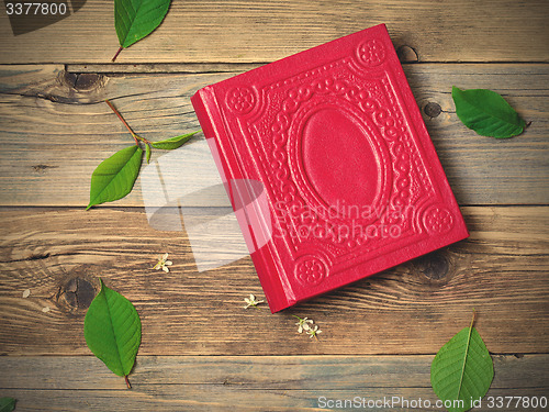 Image of album and green leaves