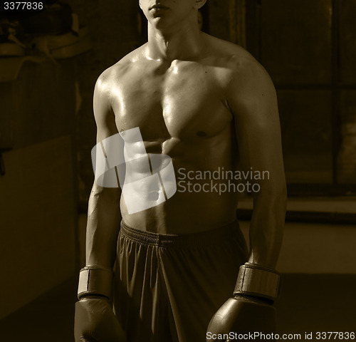Image of torso of a boxer