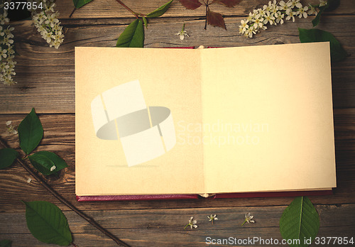 Image of album with open pages and blossom bird-cherry