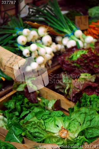 Image of Vegetables on the market