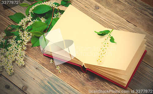 Image of Blossoming bird-cherry and vintage open album