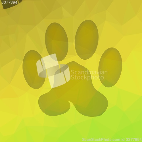 Image of Animal Paw