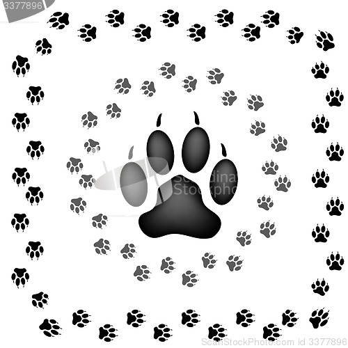 Image of Animal Prints