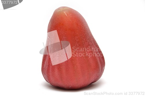 Image of Rose apple