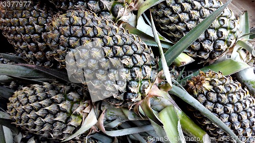 Image of Pineapples at fruit market.