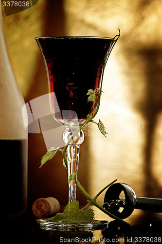 Image of Red wine