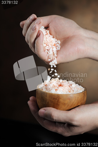 Image of HImalayan Salt