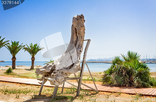 Image of Decorative ornaments out of the trunk of an old tree by the sea.