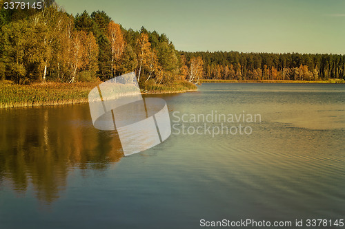 Image of The autumn wood on the bank of the big beautiful lake