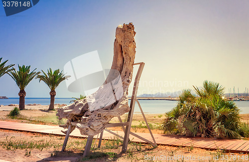 Image of Decorative ornaments out of the trunk of an old tree by the sea.