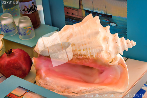 Image of Still life: sea shell, book, fruit, flowers.