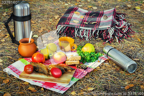 Image of Products and a picnic blanket in the woods