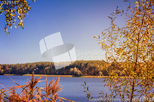 Image of The autumn wood on the bank of the big beautiful lake