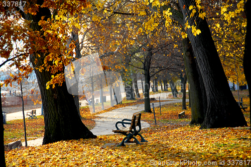 Image of Autumn park