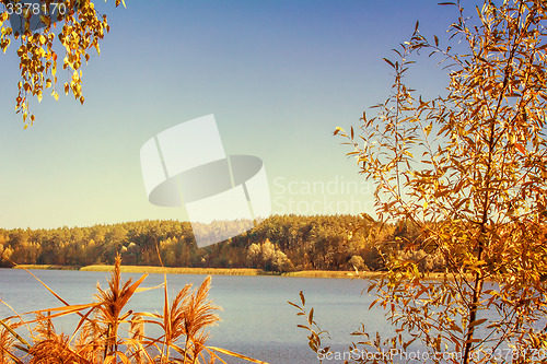 Image of The autumn wood on the bank of the big beautiful lake