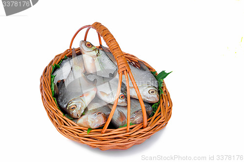 Image of Wattled basket with hooked fish on a white background.