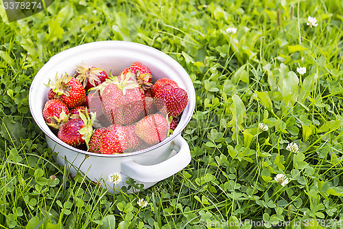Image of Natural garden strawberry
