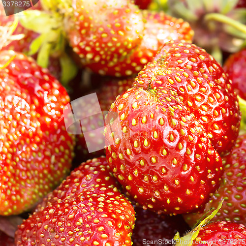 Image of Natural fresh strawberry macro