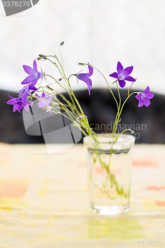 Image of Bouquet of campanulas in faceted glass