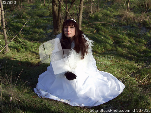 Image of The young bride in a white dress on the nature 2