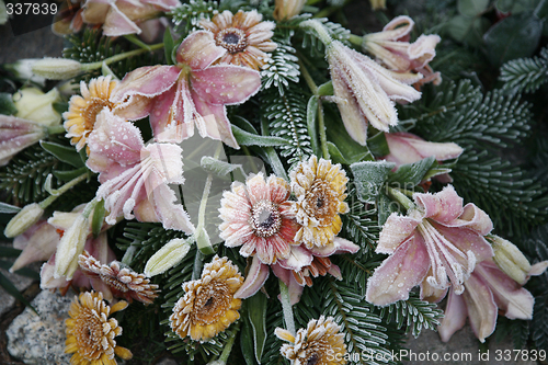 Image of Cold grave