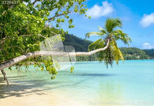 Image of Beautiful tropical beach in Seychelles