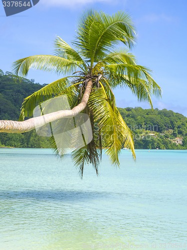 Image of Beautiful tropical beach in Seychelles