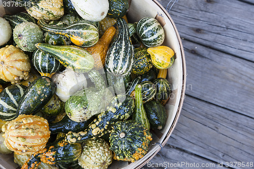 Image of Basket of vegetables