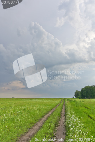 Image of summer landscape