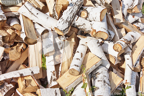 Image of birch firewood