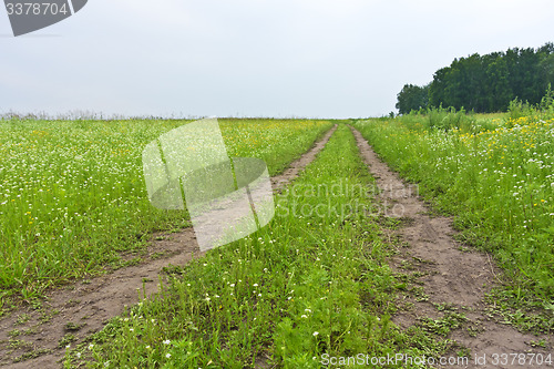 Image of country road