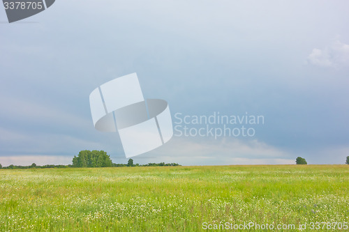 Image of summer landscape