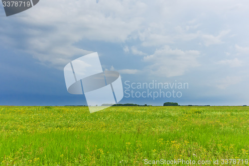 Image of summer landscape