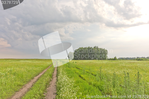 Image of summer landscape