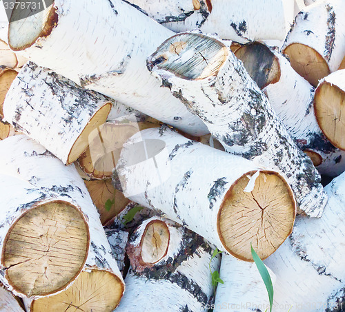 Image of pile of firewood