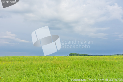 Image of summer landscape