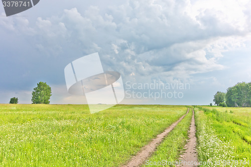 Image of summer landscape