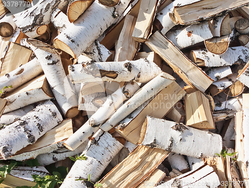 Image of birch firewood