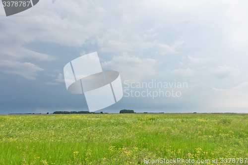 Image of summer landscape