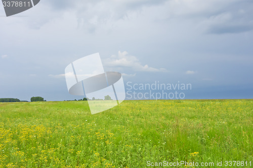Image of summer landscape