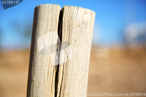 Image of dead wood in the sky morocco   winter