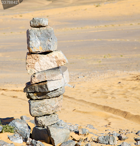 Image of  bush old fossil in  the desert of morocco sahara and rock  ston