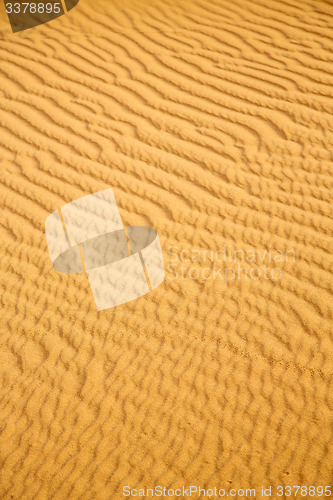 Image of the brown sand dune in  a morocco desert 