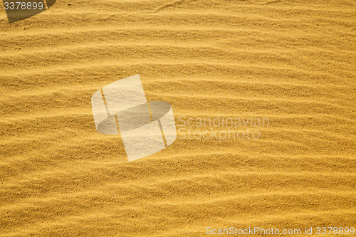 Image of africa the brown sand dune in   